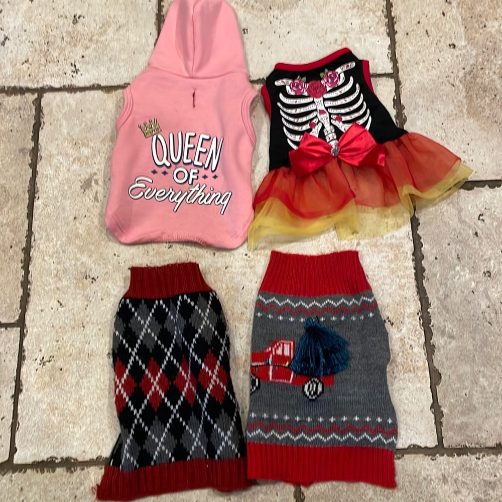 Dog clothes, bundle of 4